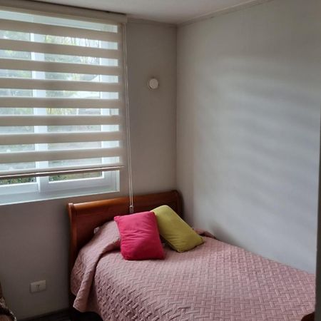 Apartament Plaza Brintrup Puerto Varas Zewnętrze zdjęcie